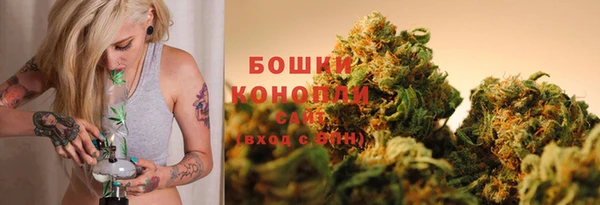 дмт Богородск