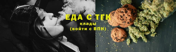 дмт Богородск
