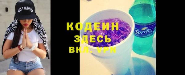 дмт Богородск