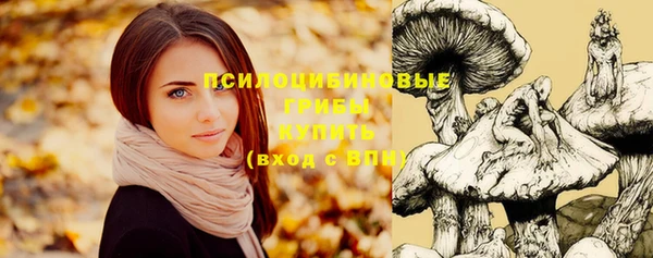 мескалин Богданович