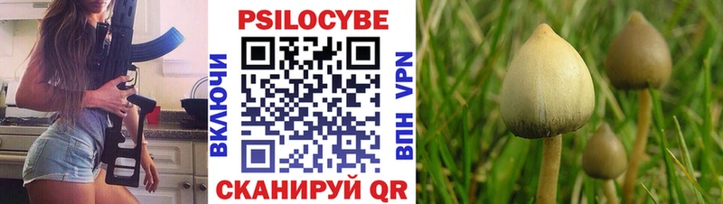 где купить наркоту  Волгодонск  Псилоцибиновые грибы мухоморы 